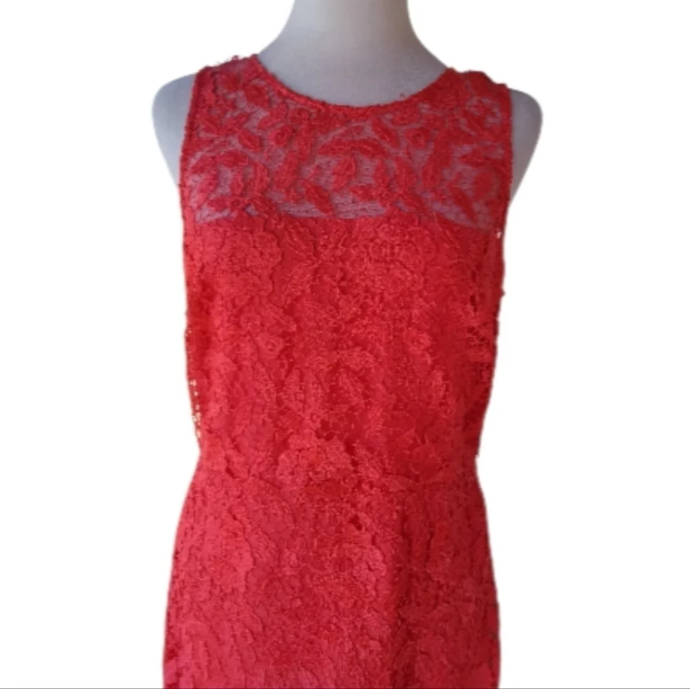 J. Crew Collection Poppy Coral Color Lace Sheath Dress Knee Length Size 8